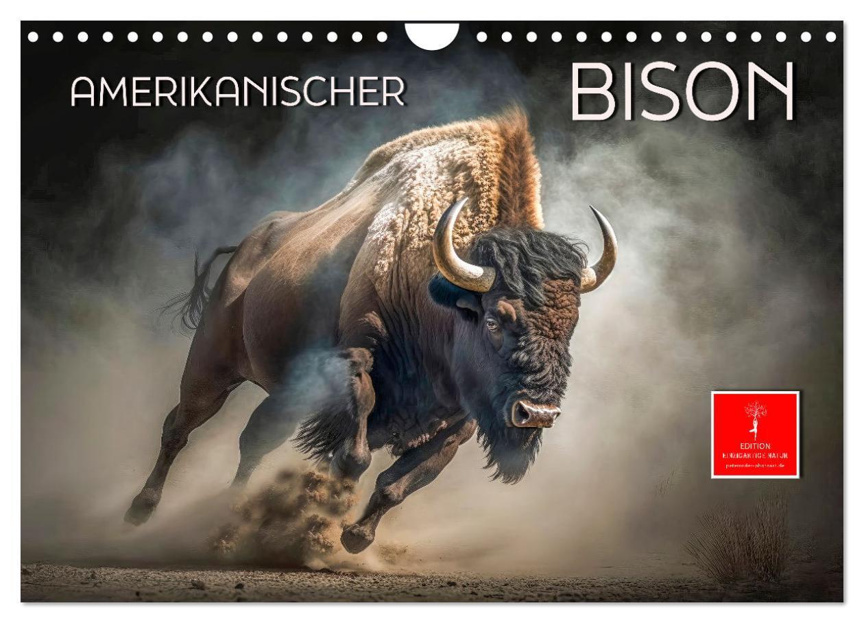 Cover: 9783675441484 | Amerikanischer Bison (Wandkalender 2024 DIN A4 quer), CALVENDO...