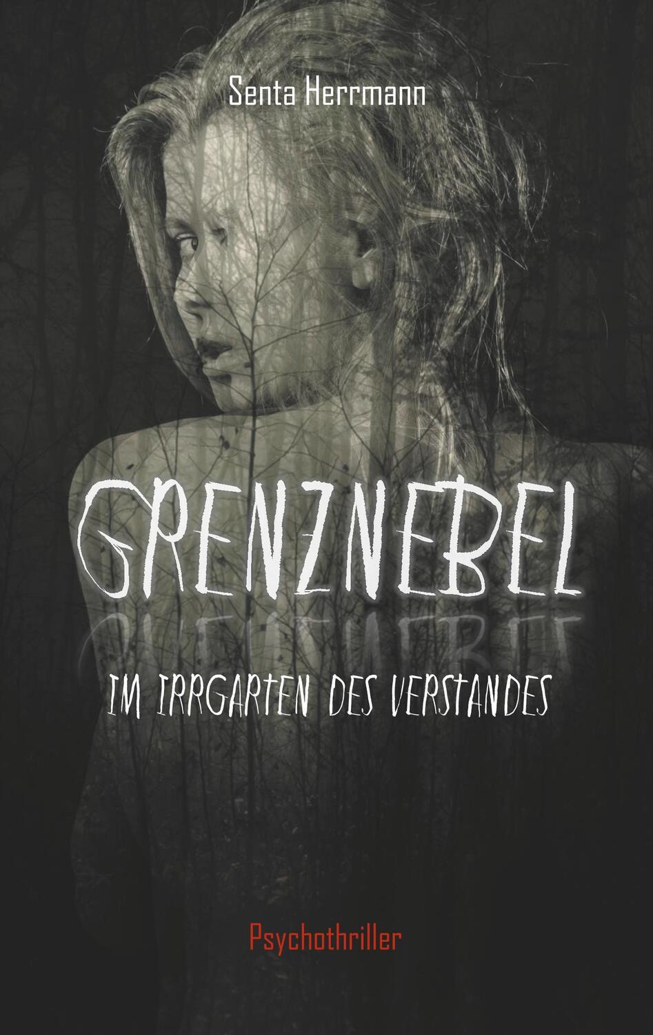Cover: 9783748174288 | Grenznebel | Im Irrgarten des Verstandes | Senta Herrmann | Buch