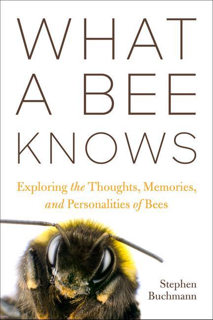 Cover: 9781642831245 | What a Bee Knows | Stephen L Buchmann | Buch | Gebunden | 2023