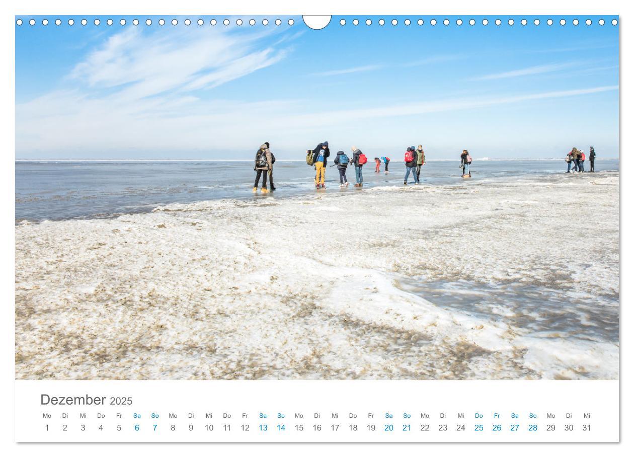 Bild: 9783435071548 | Moin Norden-Norddeich (Wandkalender 2025 DIN A3 quer), CALVENDO...