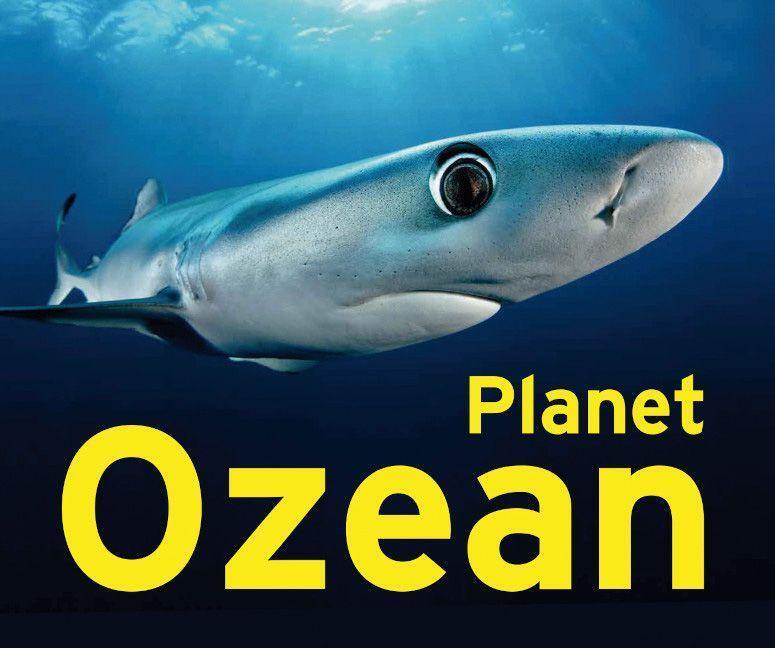Cover: 9783837526189 | Planet Ozean | Ausstellungskatalog | Jeanette Schmitz | Buch | 176 S.