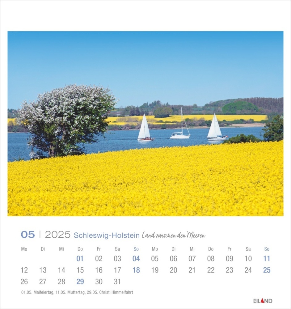 Bild: 9783964023339 | Schleswig-Holstein Postkartenkalender 2025 - Land zwischen den Meeren