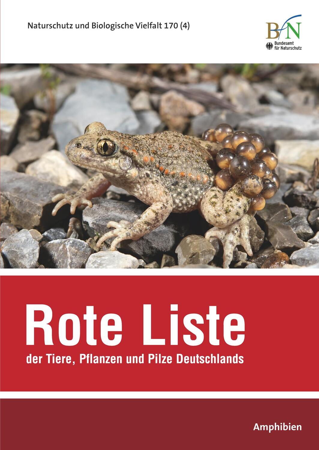 Cover: 9783784337746 | NaBiV Heft 170/4 Rote Liste der Tiere, Pflanzen und Pilze...