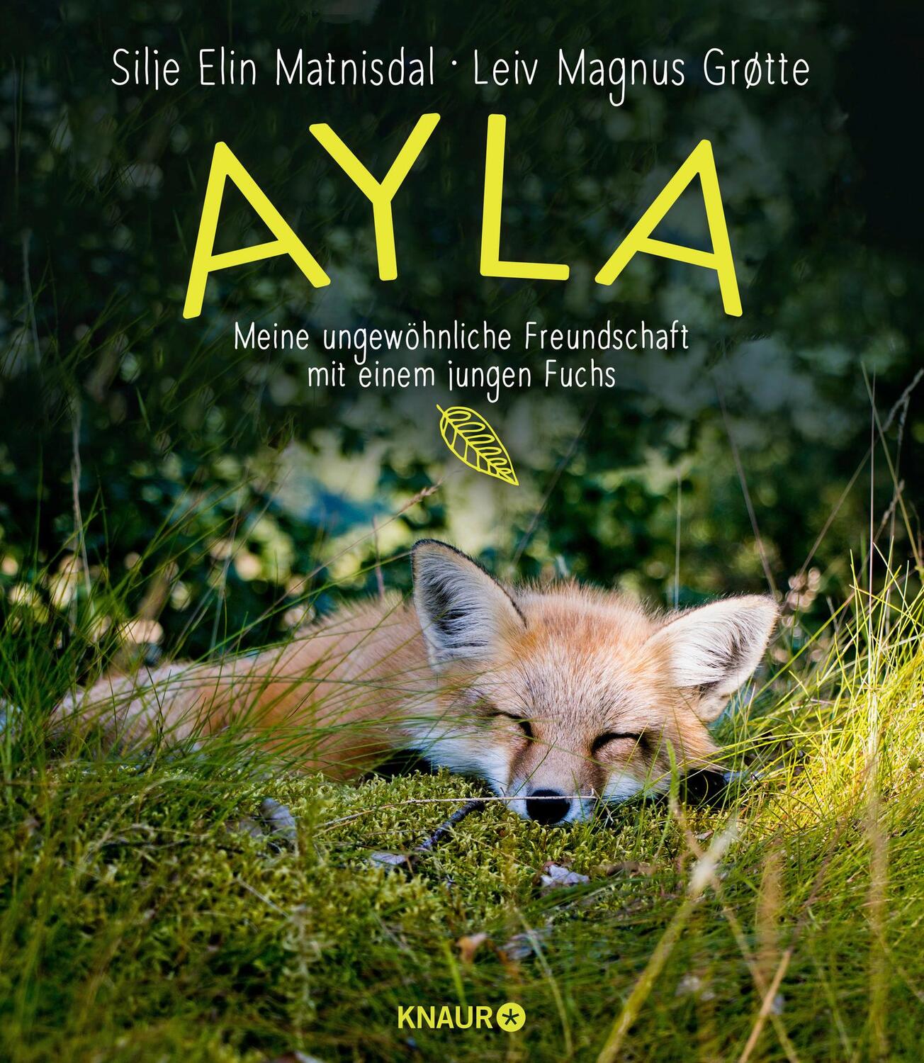 Cover: 9783426214527 | Ayla - meine ungewöhnliche Freundschaft mit einem jungen Fuchs | Buch