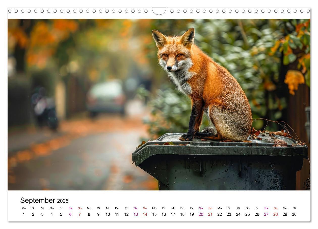 Bild: 9783383815157 | Fuchs - schöne Momente (Wandkalender 2025 DIN A3 quer), CALVENDO...