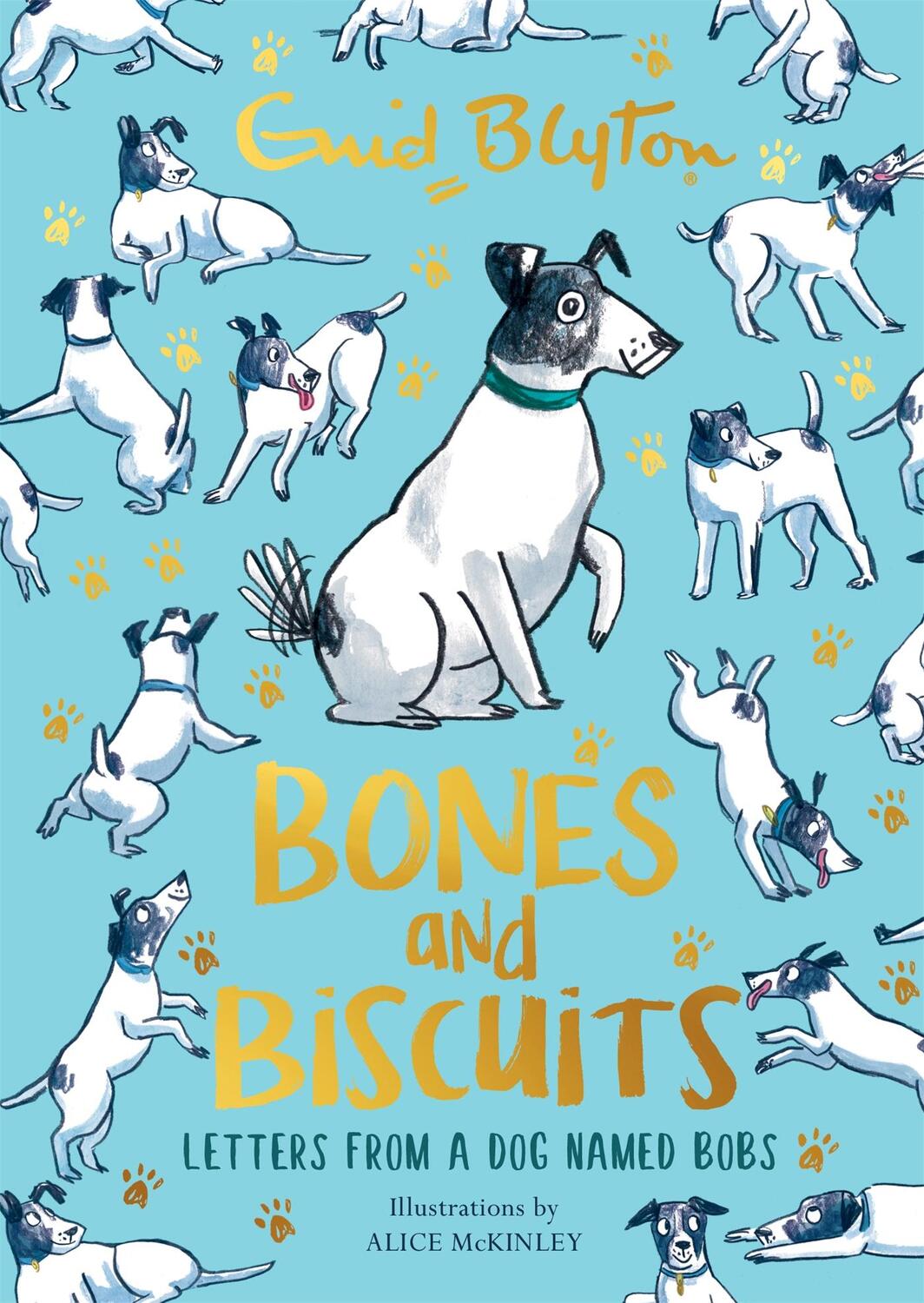 Cover: 9781444963366 | Bones and Biscuits | Letters from a Dog Named Bobs | Enid Blyton