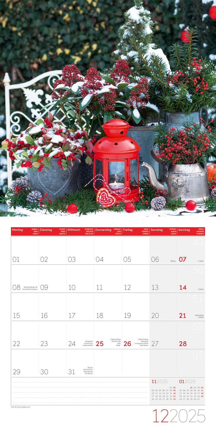 Bild: 9783838445304 | In meinem Garten Kalender 2025 - 30x30 | Ackermann Kunstverlag | 28 S.