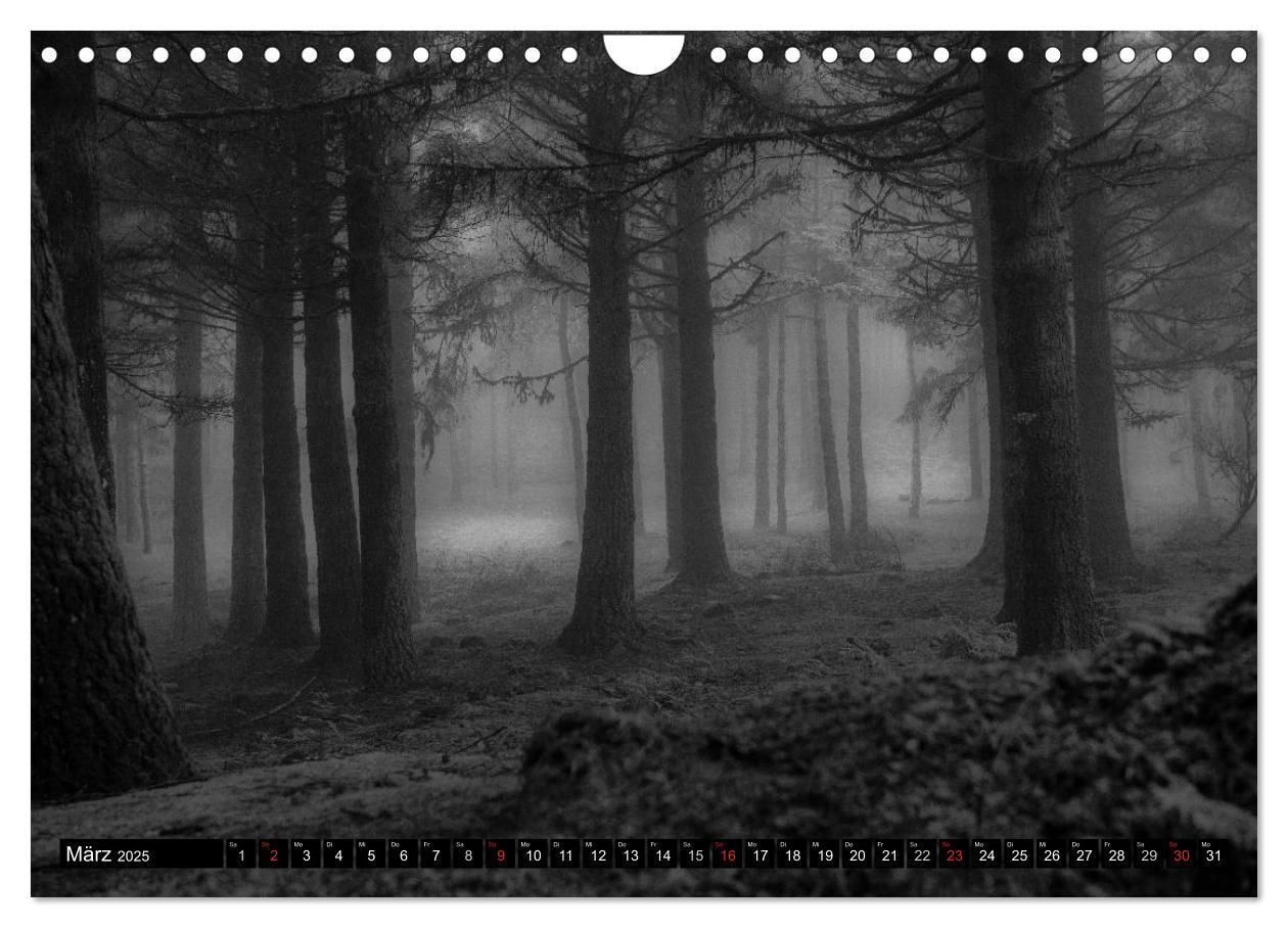 Bild: 9783435786657 | Stille Momente in Schwarz-Weiss (Wandkalender 2025 DIN A4 quer),...