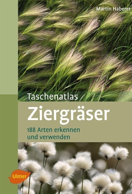 Cover: 9783800182718 | Taschenatlas Ziergräser | 188 Arten erkennen und verwenden | Haberer