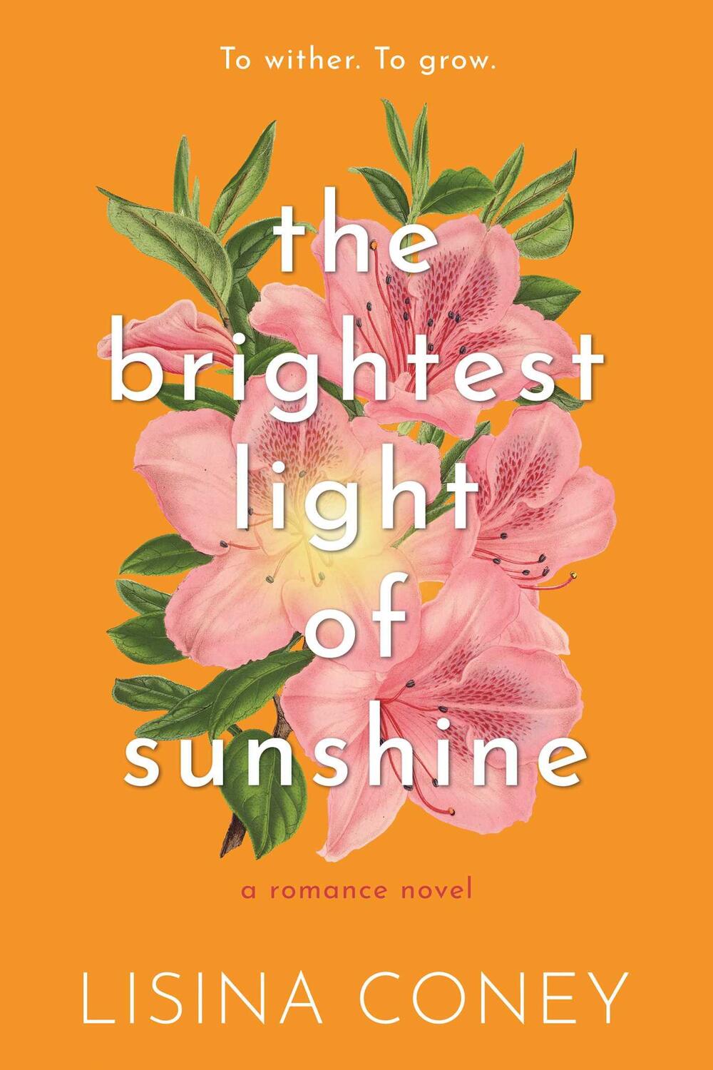 Cover: 9798987758342 | Brightest Light of Sunshine | Lisina Coney | Taschenbuch | Englisch