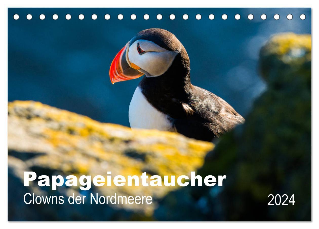 Cover: 9783675575776 | PAPAGEIENTAUCHER - Clowns der Nordmeere (Tischkalender 2024 DIN A5...