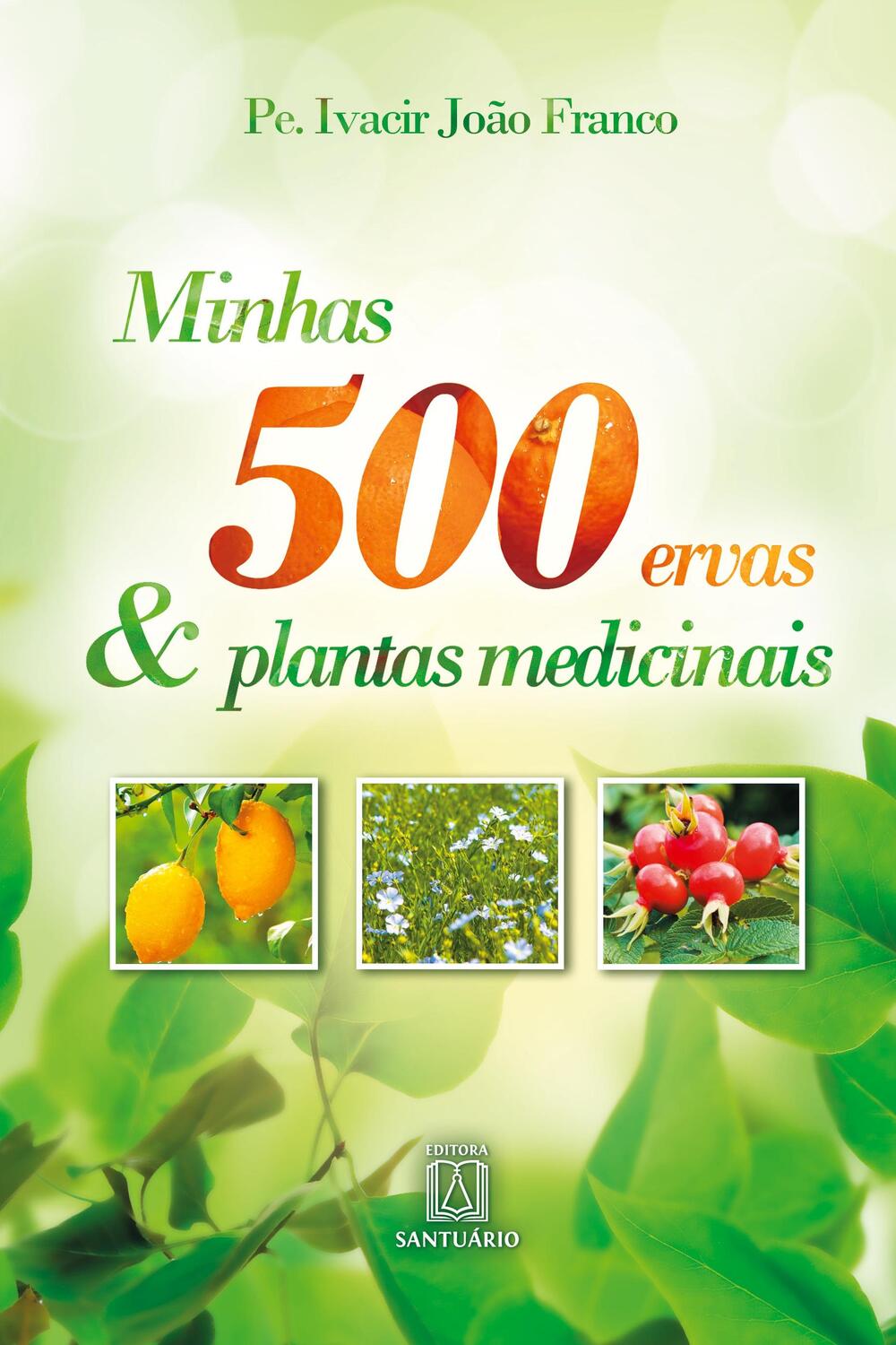 Cover: 9788536902784 | Minhas 500 ervas e plantas medicinais | Pe. Ivacir João Franco | Buch