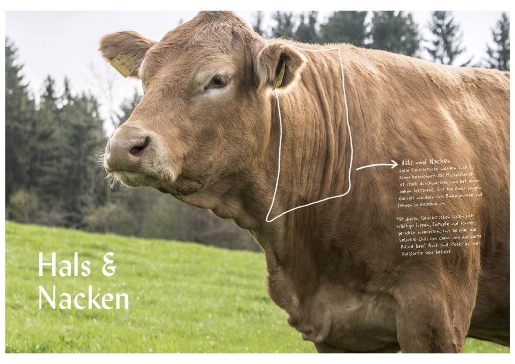 Bild: 9783981456646 | Die ganze Kuh | 90 Rezepte für Feinschmecker | Steffen Kimmig | Buch