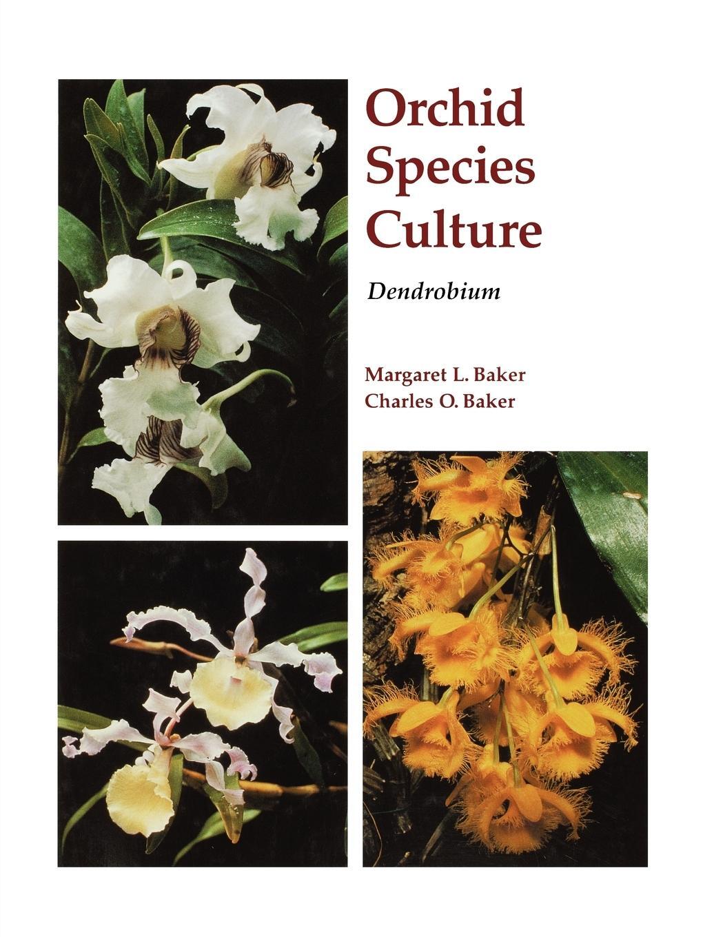 Cover: 9780881923667 | Dendrobium | Margaret Baker | Taschenbuch | Paperback | Englisch