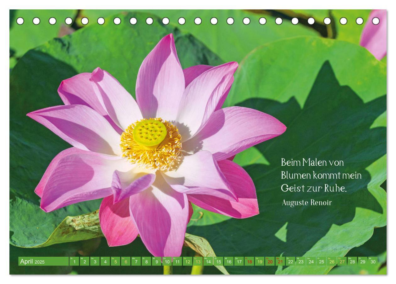 Bild: 9783383886010 | Natur-Meditationen - Nimm Dir Zeit (Tischkalender 2025 DIN A5...