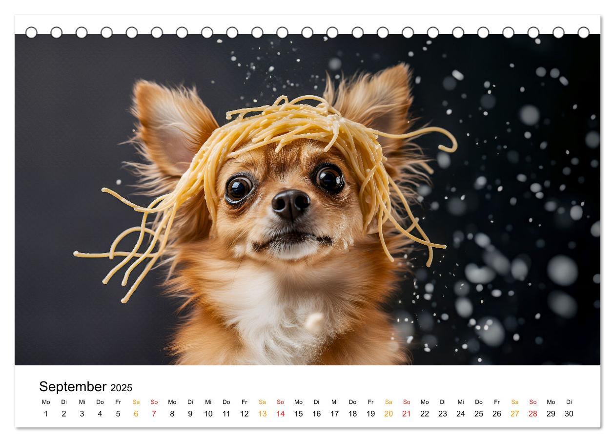 Bild: 9783457237106 | Chihuahua - kleine Energiebündel (Tischkalender 2025 DIN A5 quer),...