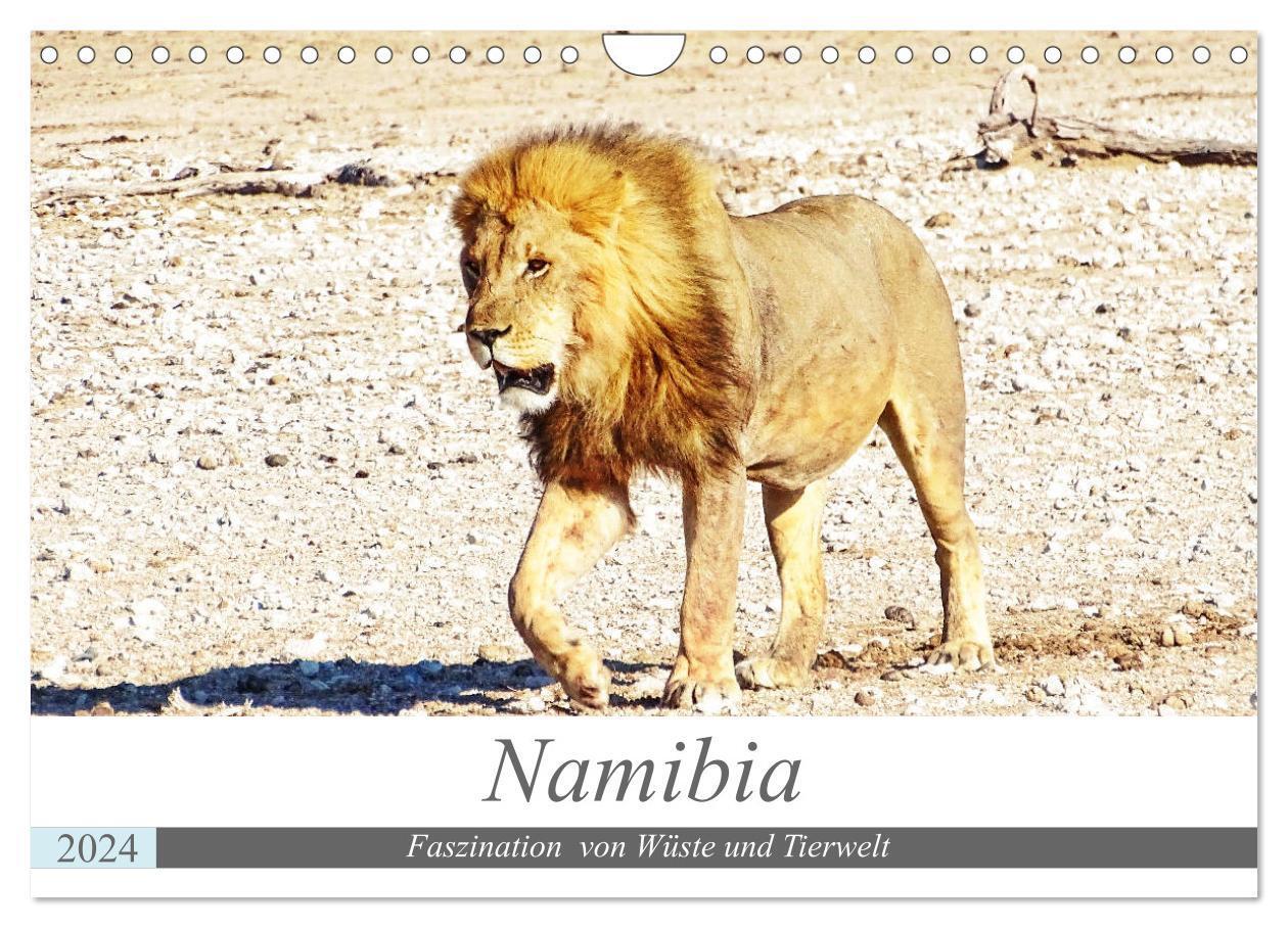 Cover: 9783675884779 | Namibia, Faszination Wüste und Tierwelt (Wandkalender 2024 DIN A4...