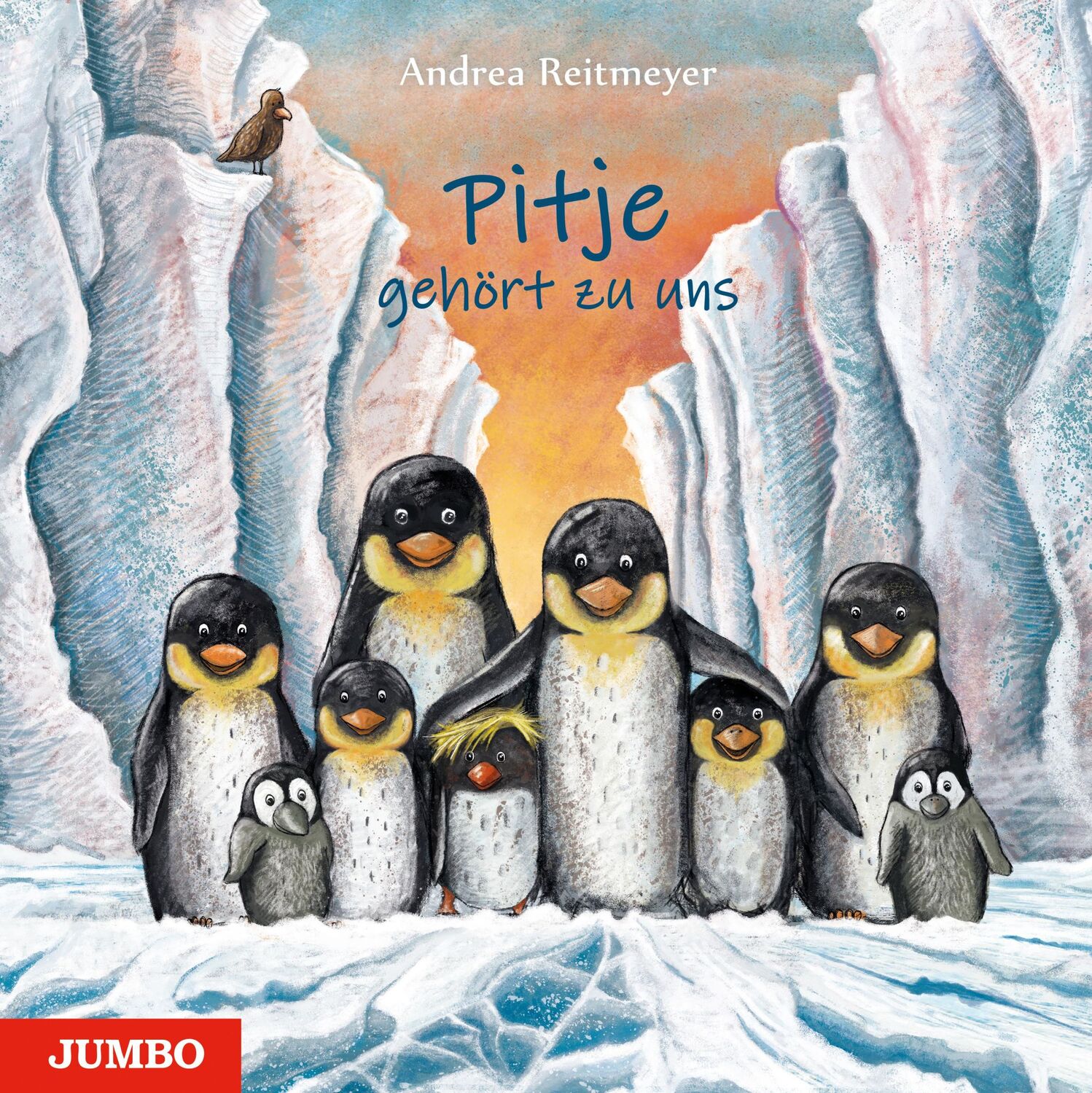 Cover: 9783833742088 | Pitje gehört zu uns | Andrea Reitmeyer | Taschenbuch | 40 S. | Deutsch