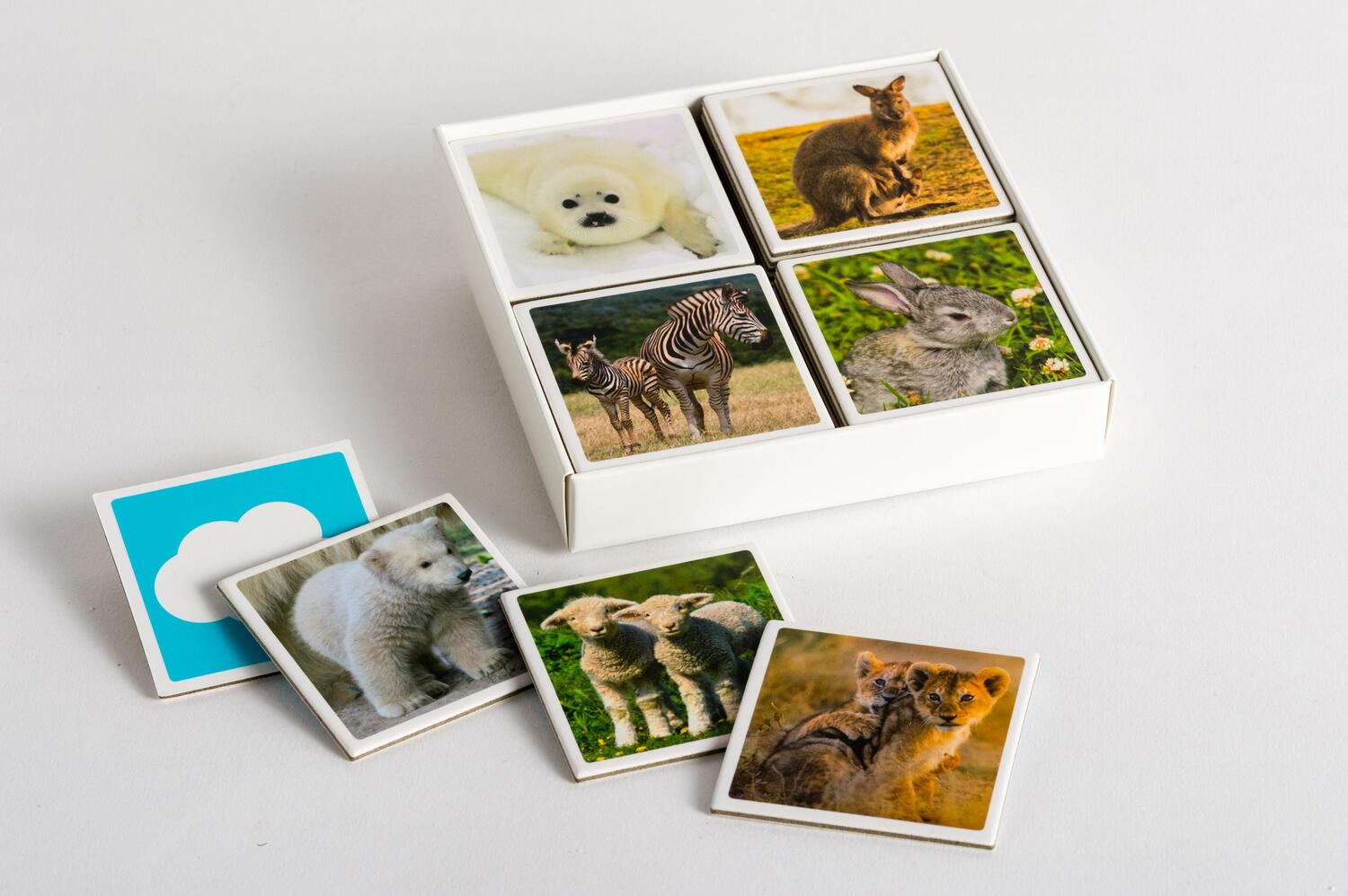 Bild: 9783730607343 | Tierkinder-Memo | 40 Spielkarten im Spielkarton | Stück | Deutsch