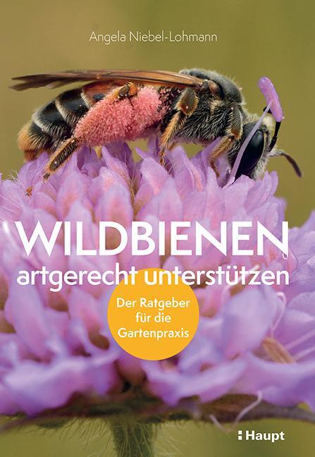 Cover: 9783258082394 | Wildbienen artgerecht unterstützen | Der Ratgeber für die Gartenpraxis