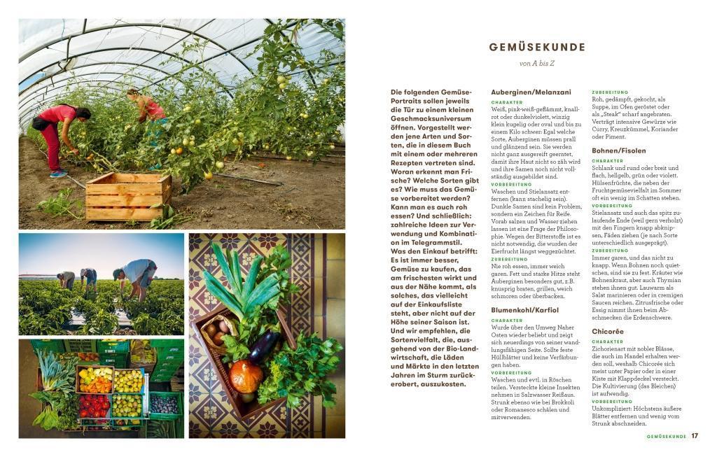Bild: 9783710600999 | 30 Minuten Gemüseküche | Katharina Seiser (u. a.) | Buch | Deutsch
