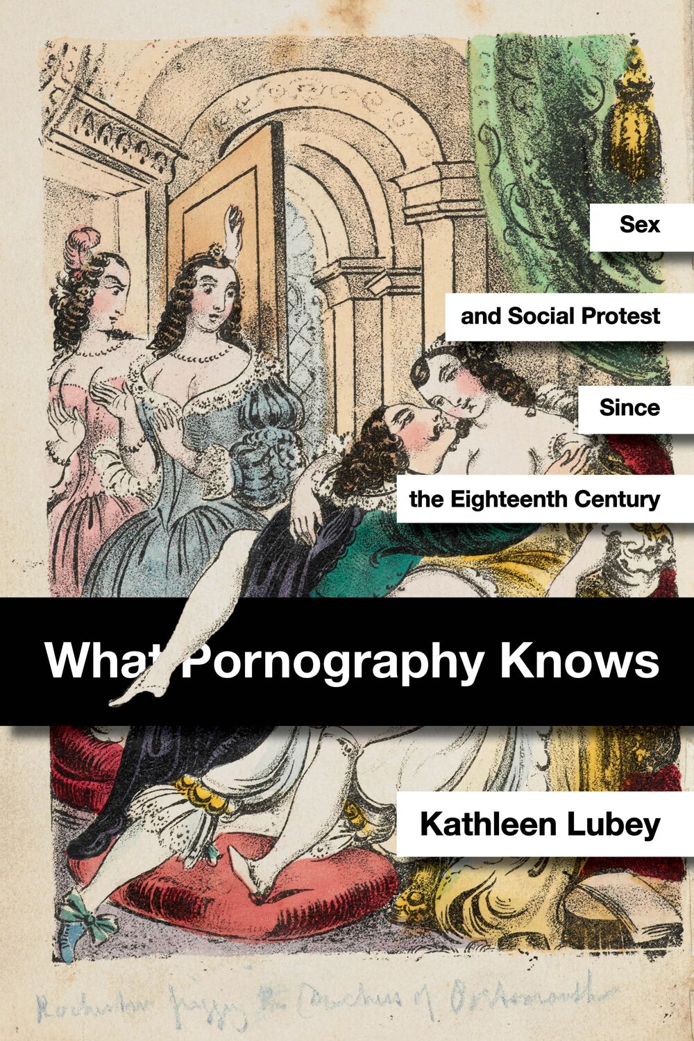 Cover: 9781503633117 | What Pornography Knows | Kathleen Lubey | Taschenbuch | Englisch