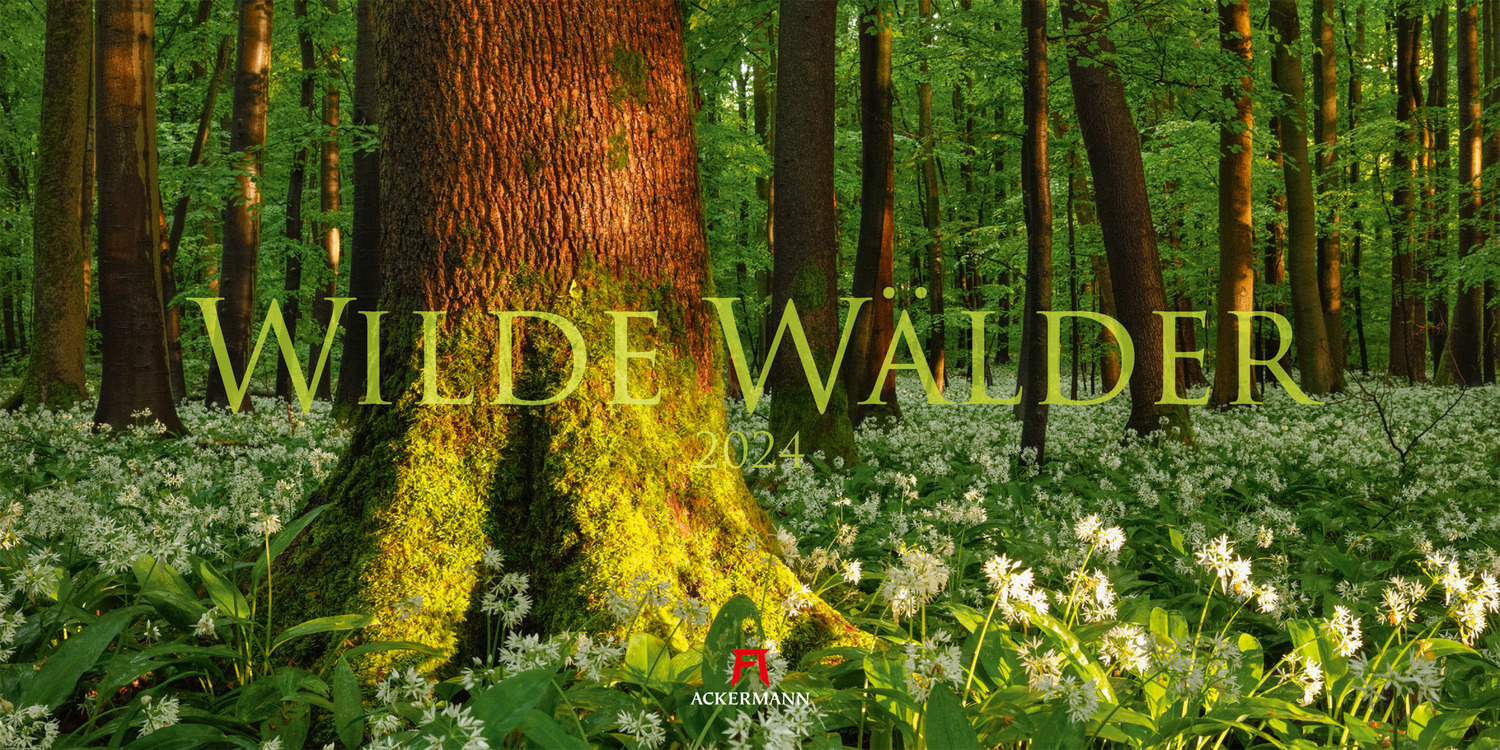 Cover: 9783838424590 | Wilde Wälder Kalender 2024 | Ackermann Kunstverlag | Kalender | 14 S.