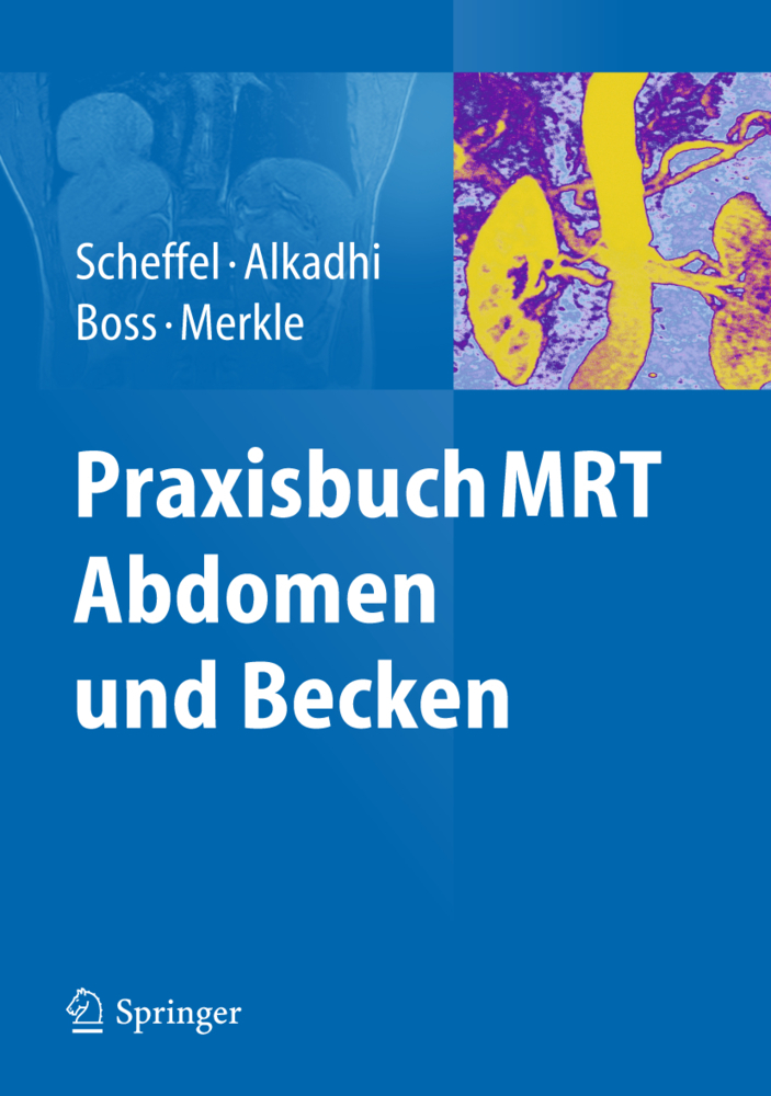 Cover: 9783642253393 | Praxisbuch MRT Abdomen und Becken | Hans Scheffel (u. a.) | Buch | XVI