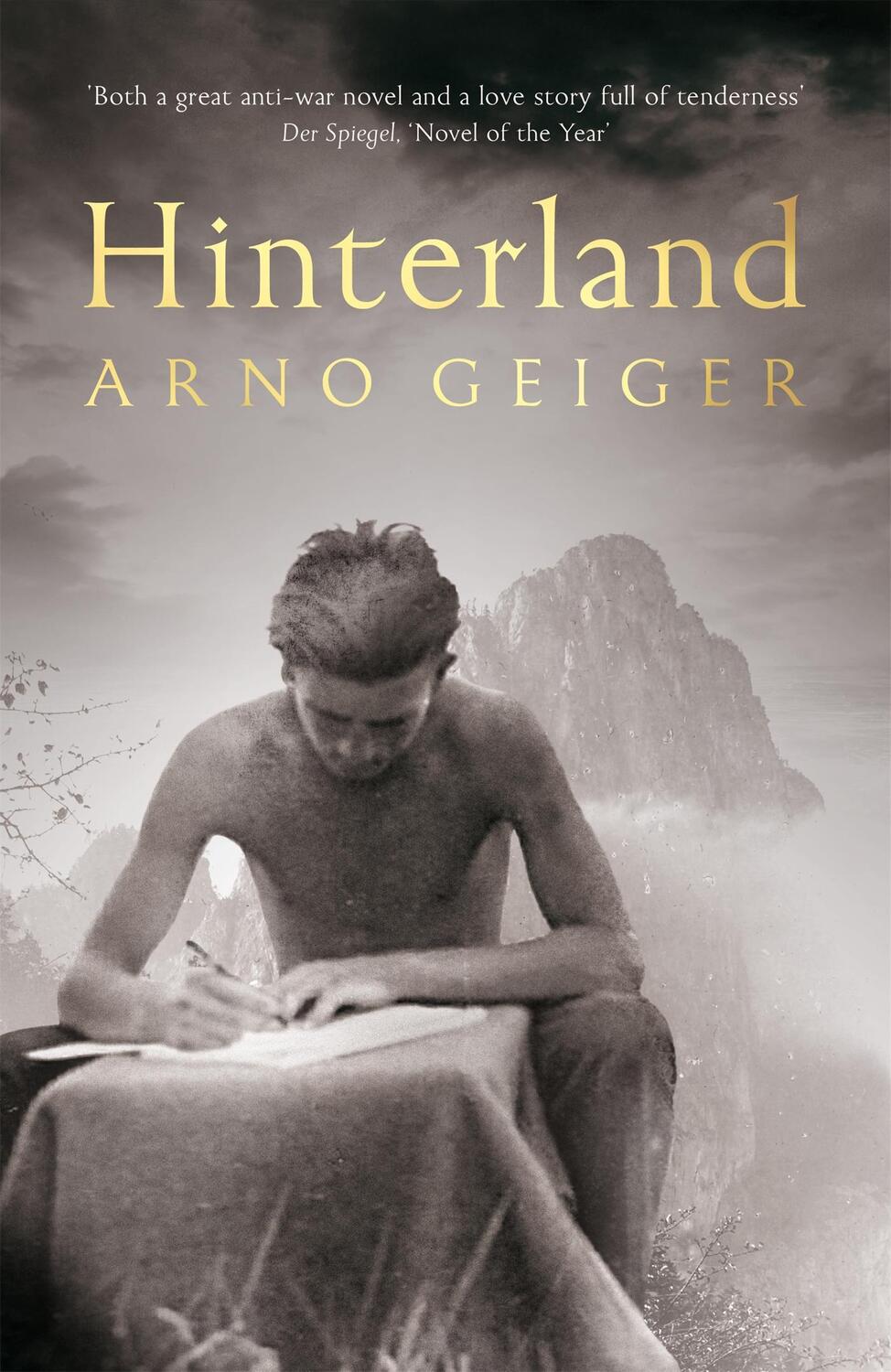 Cover: 9781529003178 | Hinterland | Arno Geiger | Taschenbuch | 336 S. | Englisch | 2022