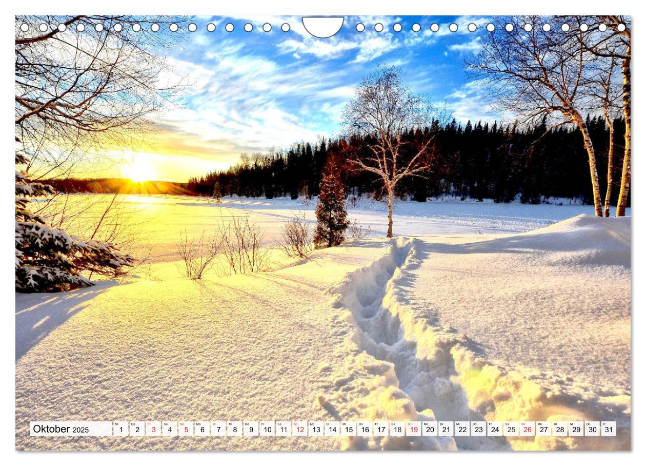 Bild: 9783435175383 | Eiszeit. Winter und Frost in der Natur (Wandkalender 2025 DIN A4...