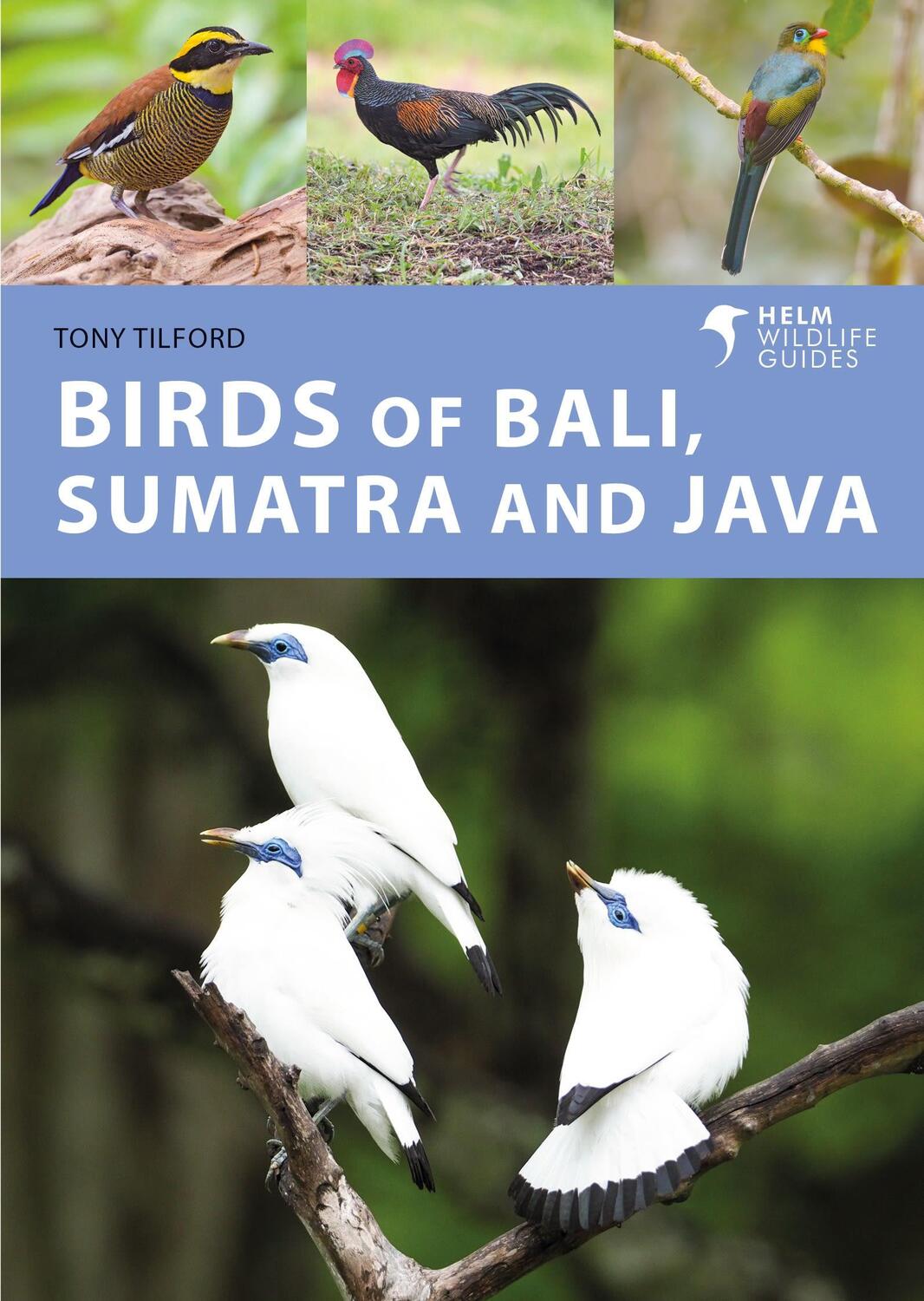 Cover: 9781472986870 | Birds of Bali, Sumatra and Java | Tony Tilford | Taschenbuch | 2023