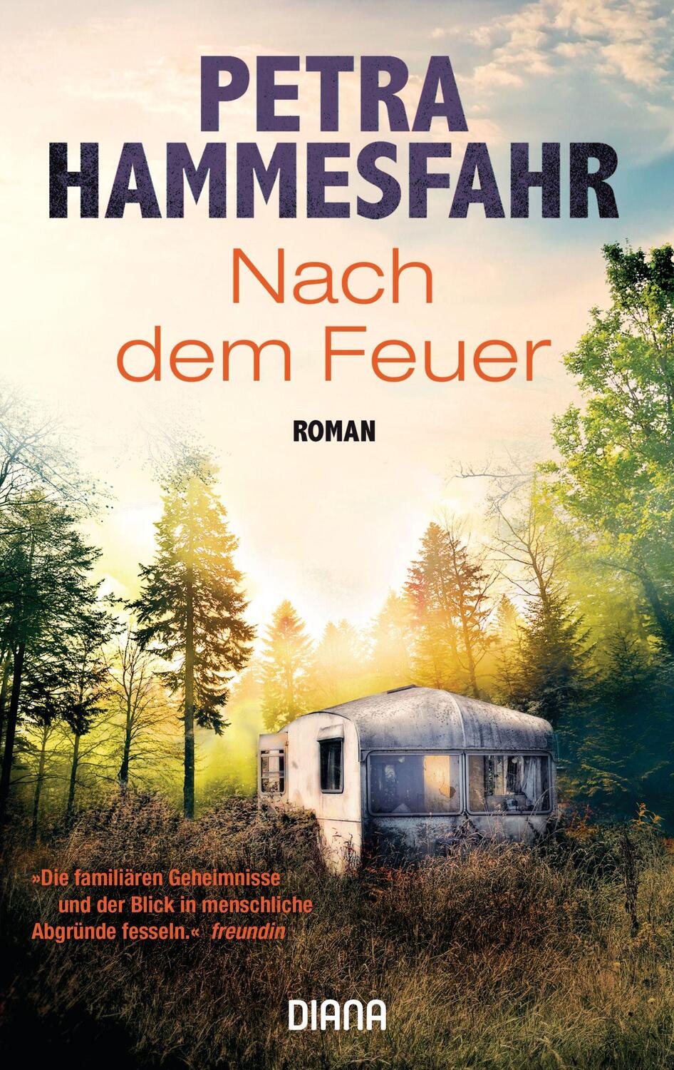 Cover: 9783453361096 | Nach dem Feuer | Roman | Petra Hammesfahr | Taschenbuch | Deutsch