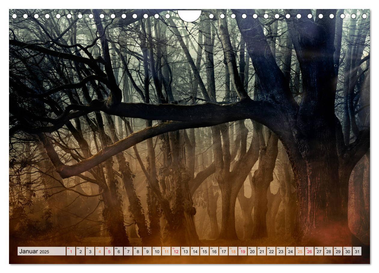 Bild: 9783435071876 | Wald - mystische Spaziergänge (Wandkalender 2025 DIN A4 quer),...