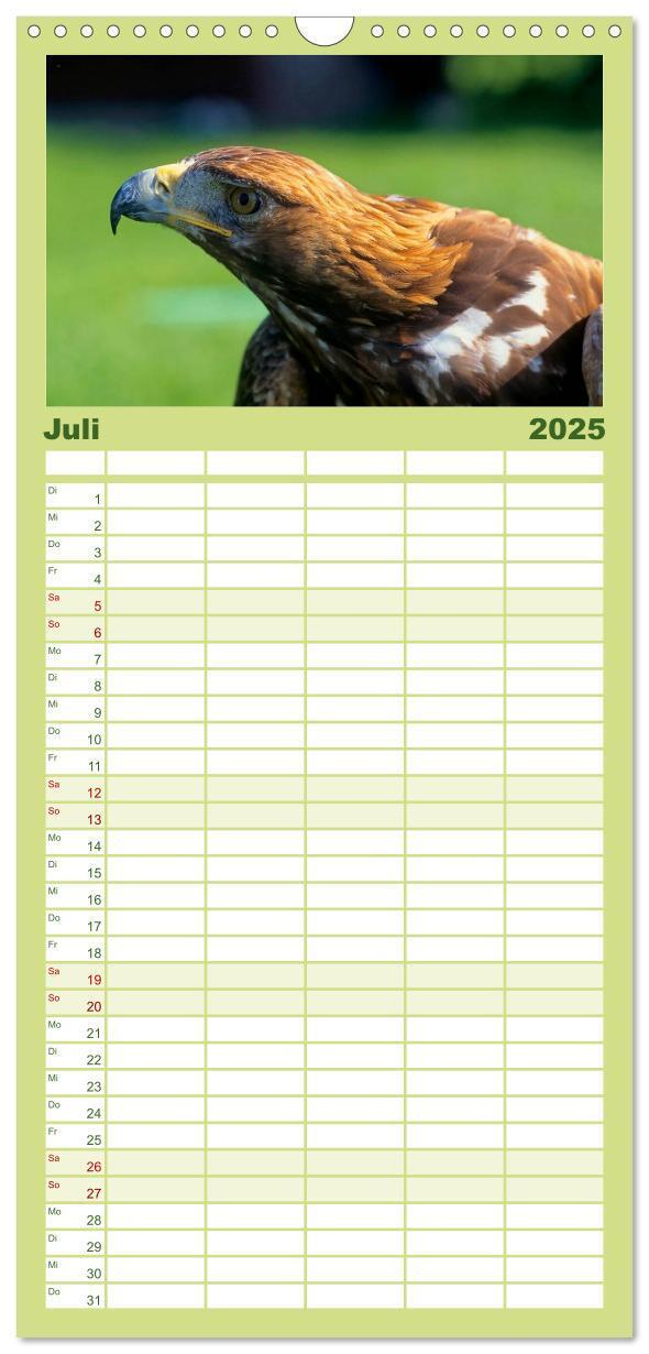 Bild: 9783457117606 | Familienplaner 2025 - Tiere des Waldes mit 5 Spalten (Wandkalender,...