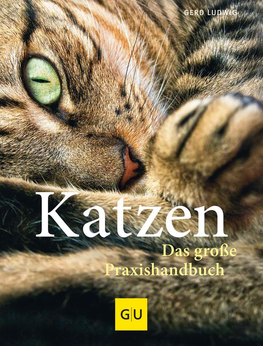 Cover: 9783833828751 | Katzen. Das große Praxishandbuch | Gerd Ludwig | Buch | 288 S. | 2016