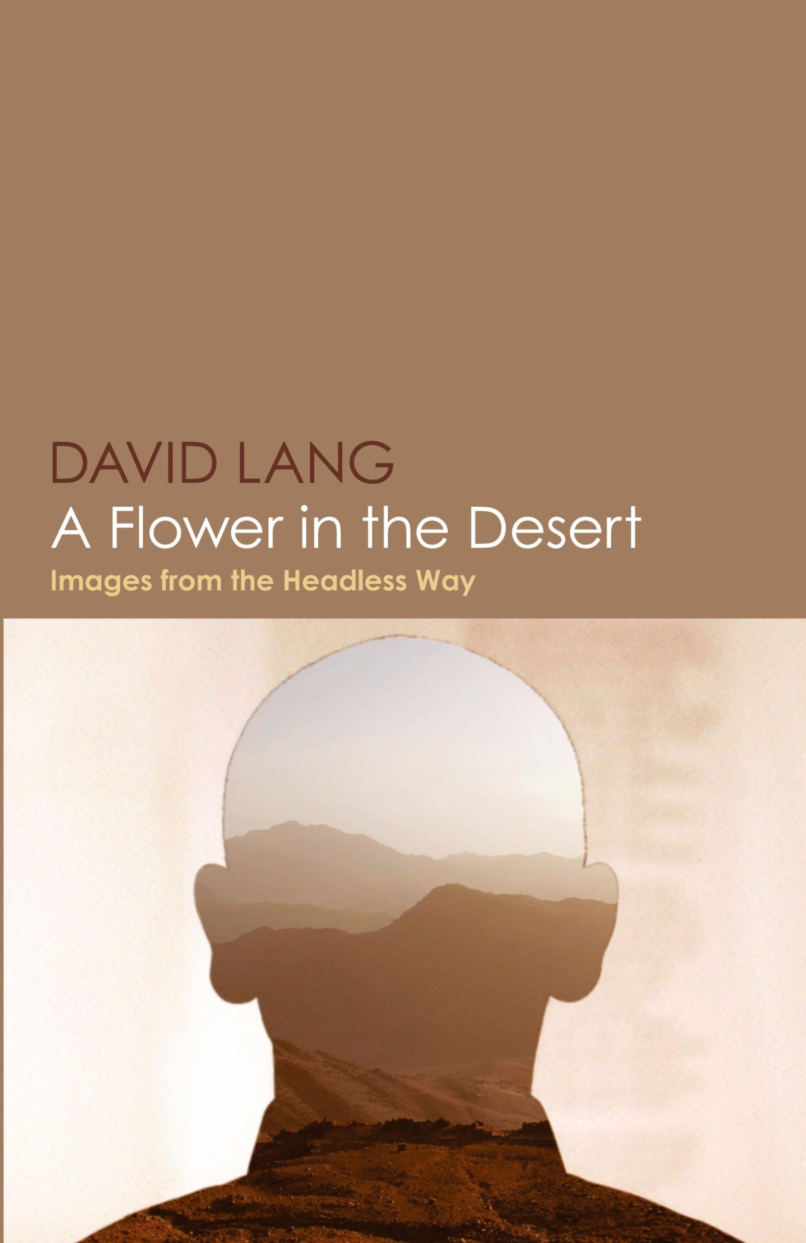 Cover: 9781087898162 | A Flower in the Desert | Images from the Headless Way | David Lang