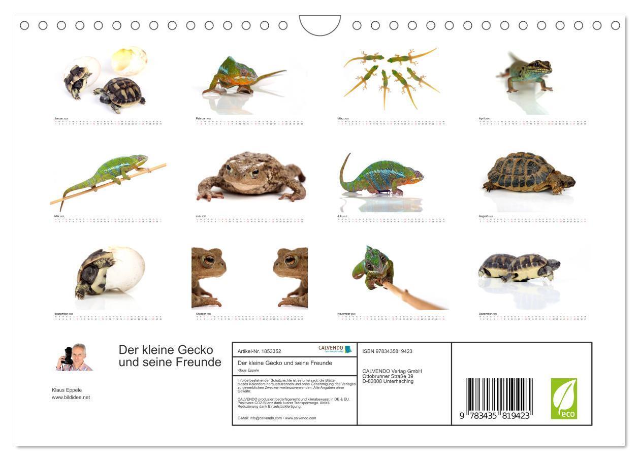 Bild: 9783435819423 | Der kleine Gecko und seine Freunde (Wandkalender 2025 DIN A4 quer),...