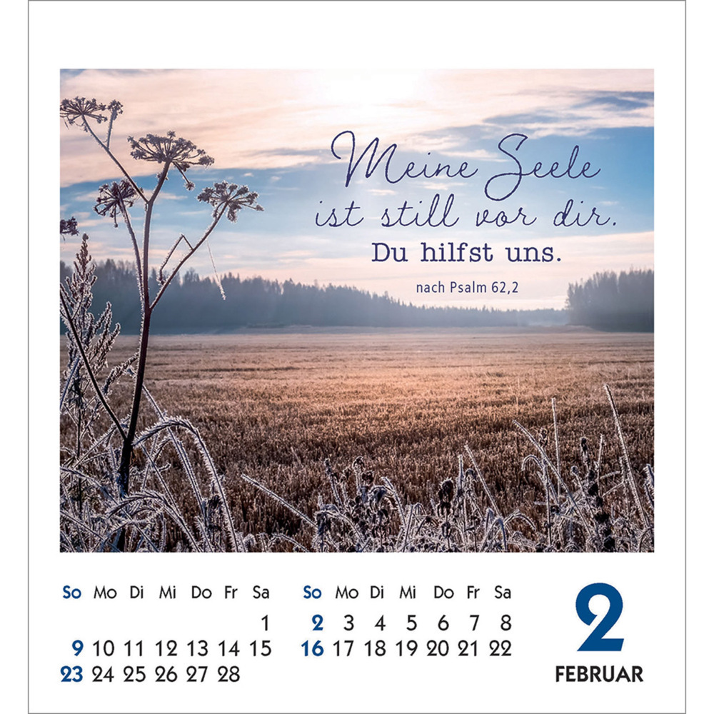 Bild: 9783754890257 | Frei sein &amp; leben 2025 | Aufkleber-Kalender | Kalender | 14 S. | 2025