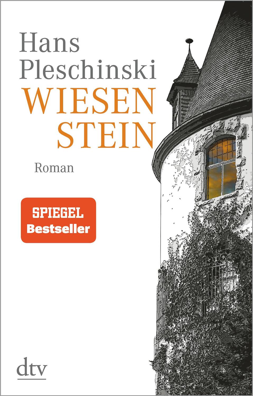 Cover: 9783423147224 | Wiesenstein | Roman | Hans Pleschinski | Taschenbuch | Deutsch | 2019