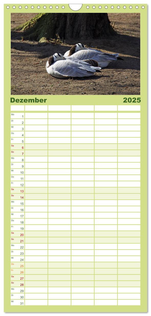 Bild: 9783457122150 | Familienplaner 2025 - Welt der Tiere mit 5 Spalten (Wandkalender,...