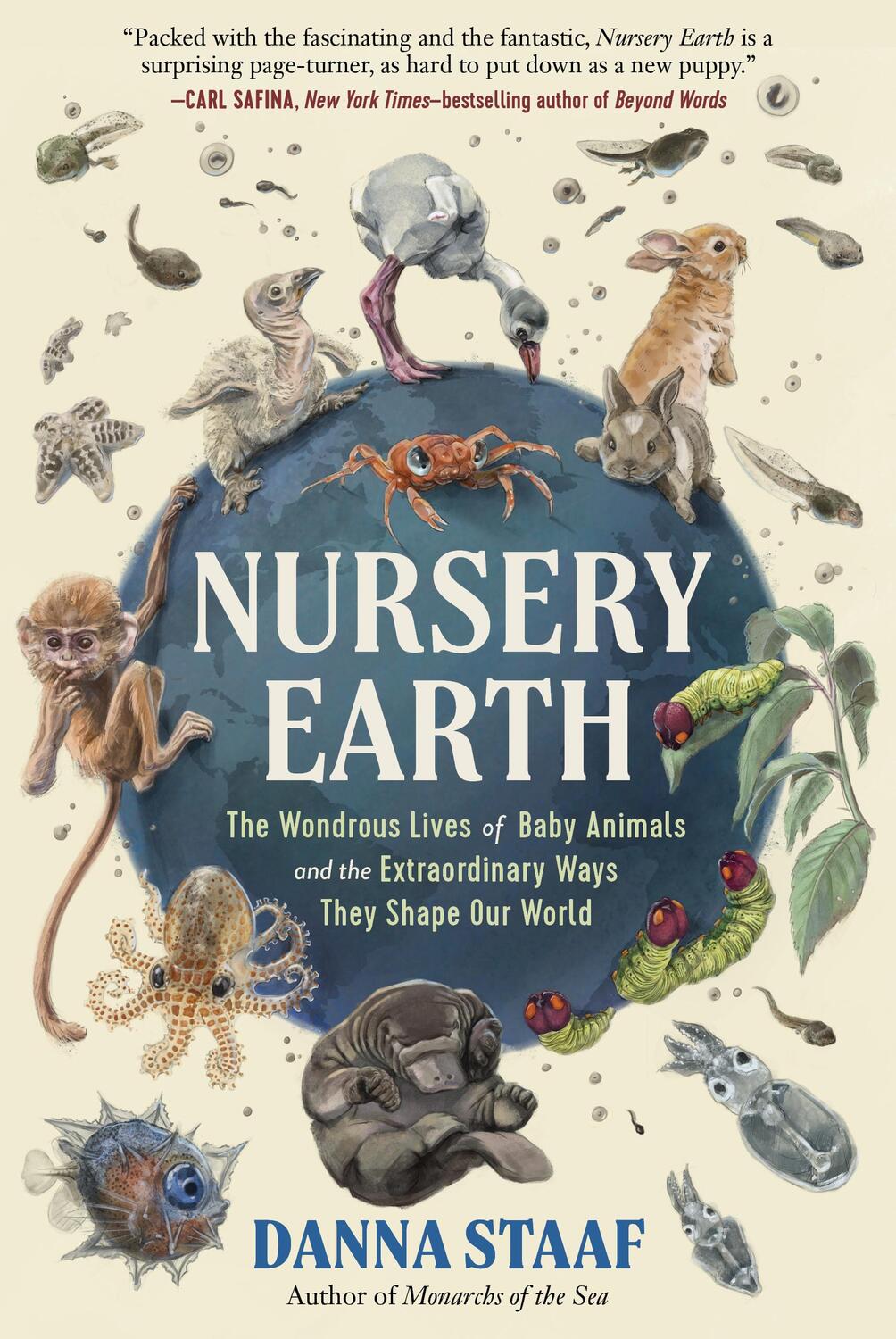 Cover: 9781615199327 | Nursery Earth | Danna Staaf | Buch | Gebunden | Englisch | 2023