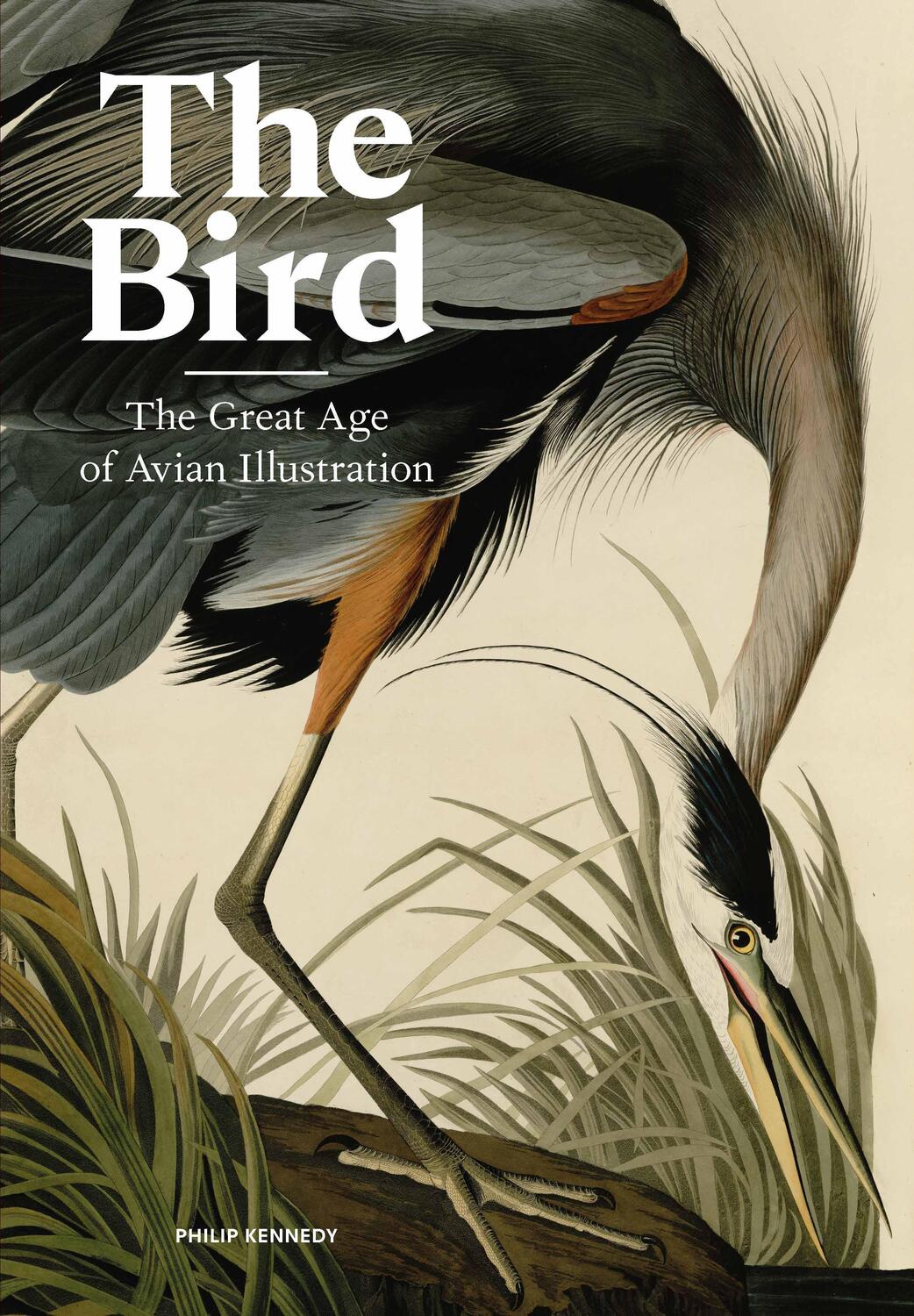 Cover: 9781786277312 | The Bird | The Great Age of Avian Illustration | Philip Kennedy | Buch