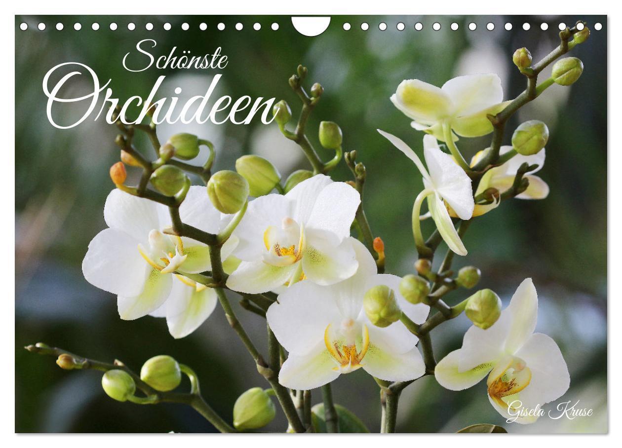 Cover: 9783675425279 | Schönste Orchideen (Wandkalender 2024 DIN A4 quer), CALVENDO...