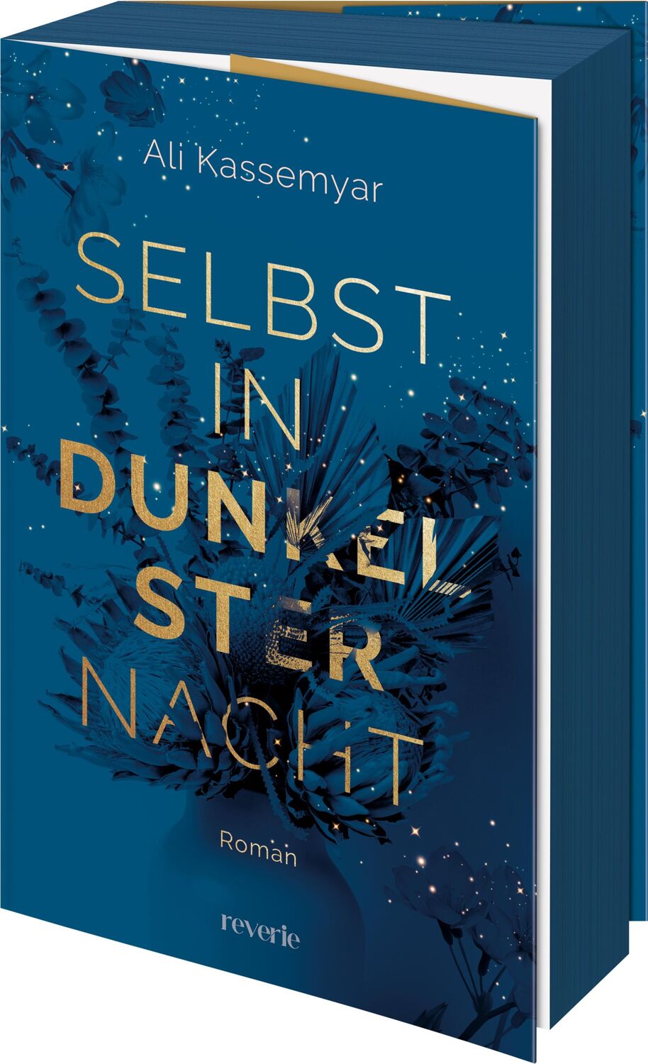 Cover: 9783745704105 | Selbst in dunkelster Nacht | Roman | Ali Kassemyar | Taschenbuch