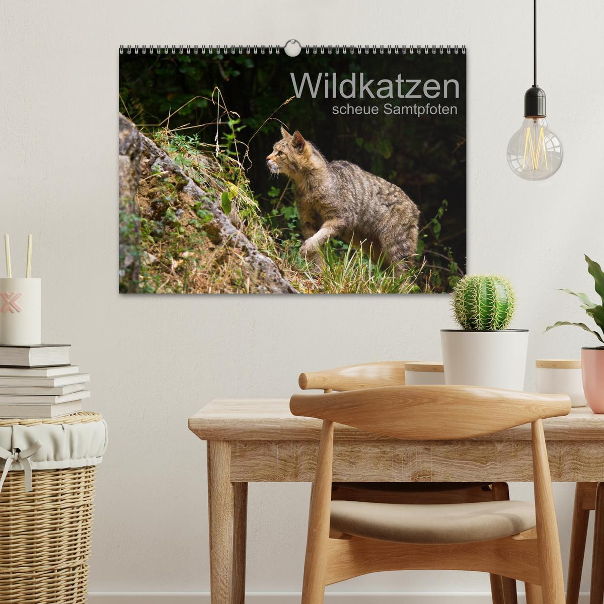 Bild: 9783435390991 | Wildkatzen - scheue Samtpfoten (Wandkalender 2025 DIN A3 quer),...