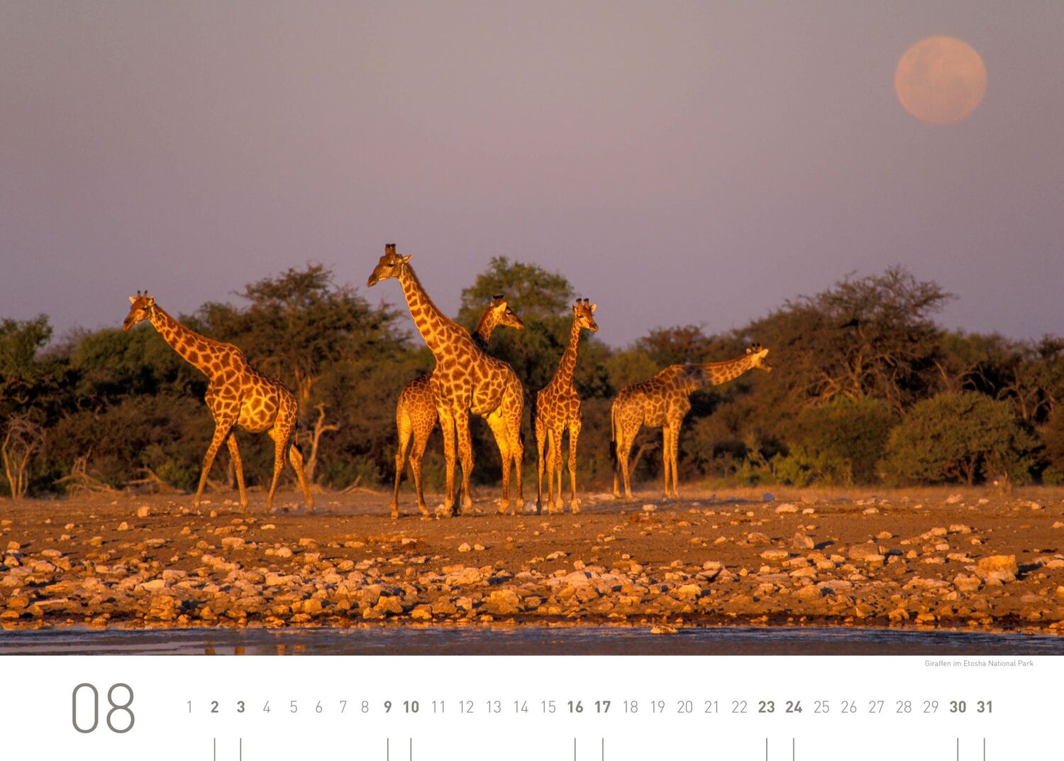 Bild: 9783968555546 | 360° Namibia Exklusivkalender 2025 | Christian Heeb | Kalender | 13 S.