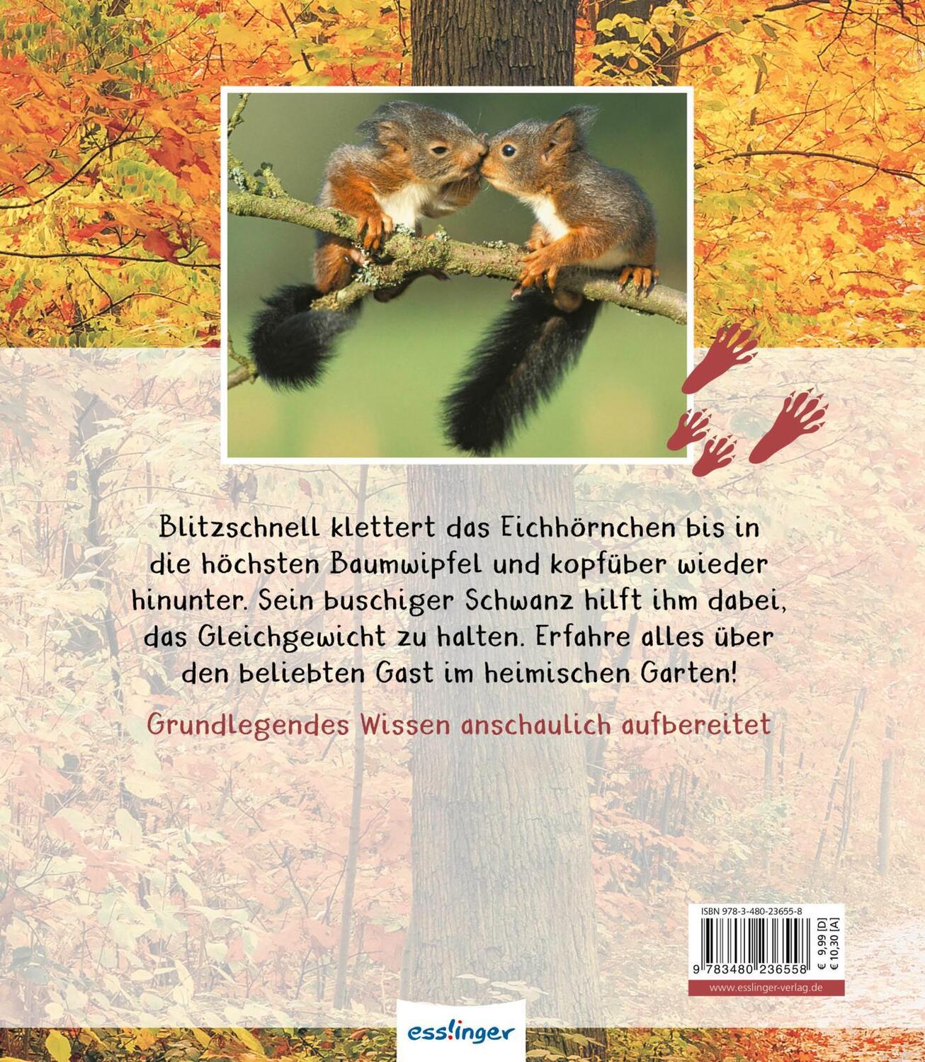 Rückseite: 9783480236558 | Meine große Tierbibliothek: Das Eichhörnchen | Stéphanie Ledu-Frattini