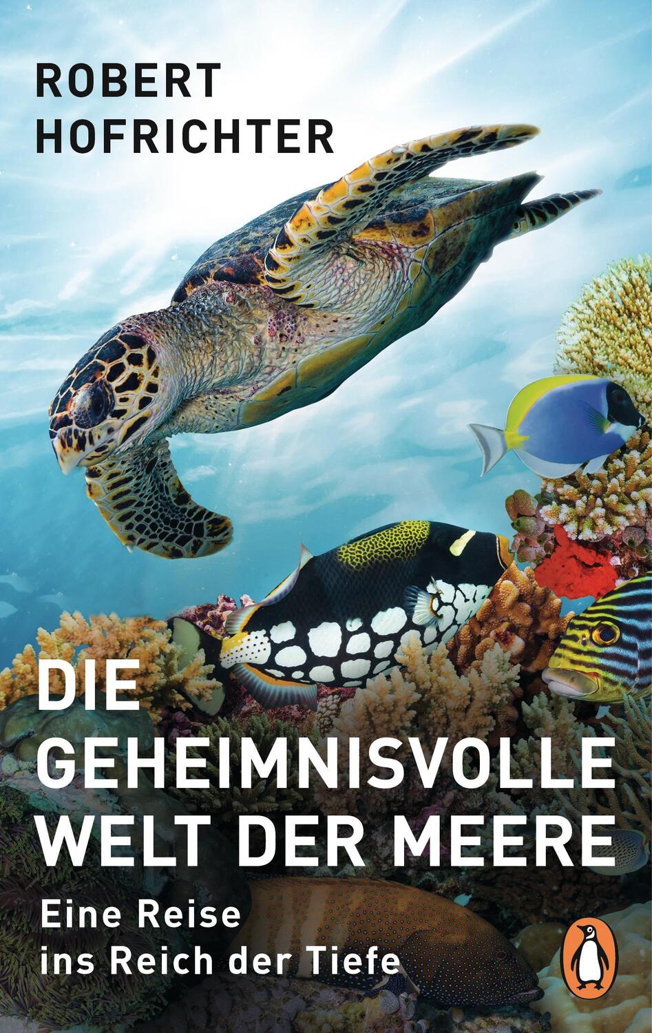 Cover: 9783328104308 | Die geheimnisvolle Welt der Meere | Eine Reise ins Reich der Tiefe