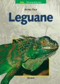 Cover: 9783800135837 | Leguane | Astrid Falk | Buch | DATZ-Terrarienbücher | Deutsch | 2001