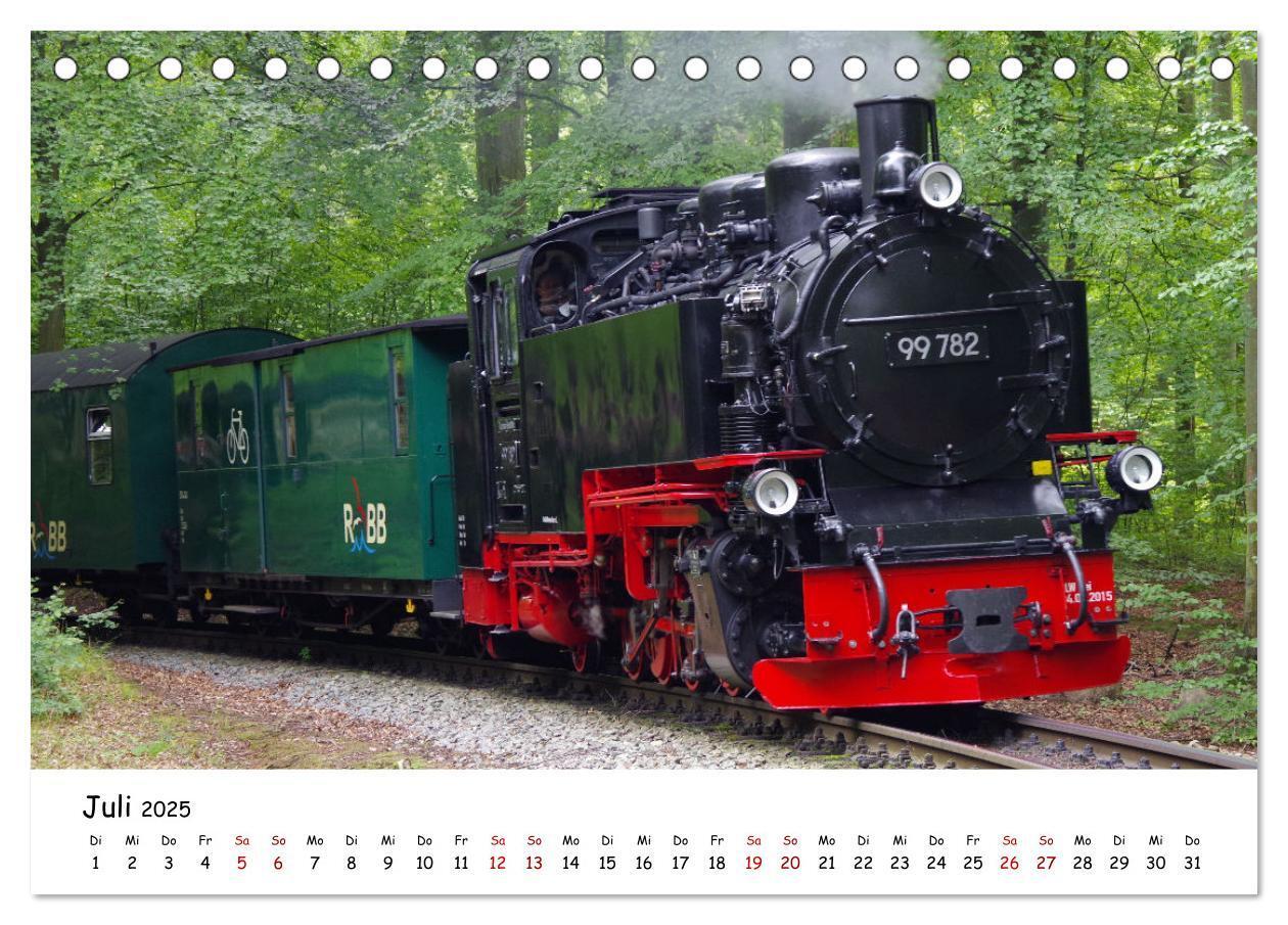 Bild: 9783383930980 | Rügens "rasender Roland" (Tischkalender 2025 DIN A5 quer), CALVENDO...